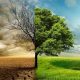 قیمت محصولات کشاورزی