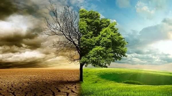 قیمت محصولات کشاورزی