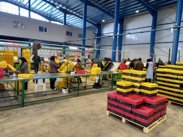 قیمت محصولات کشاورزی