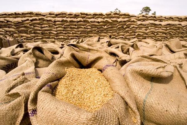 قیمت محصولات کشاورزی