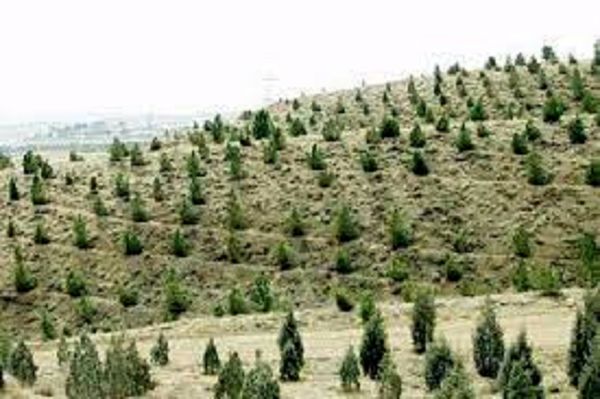 قیمت محصولات کشاورزی