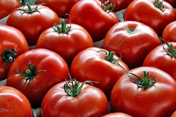 قیمت محصولات کشاورزی