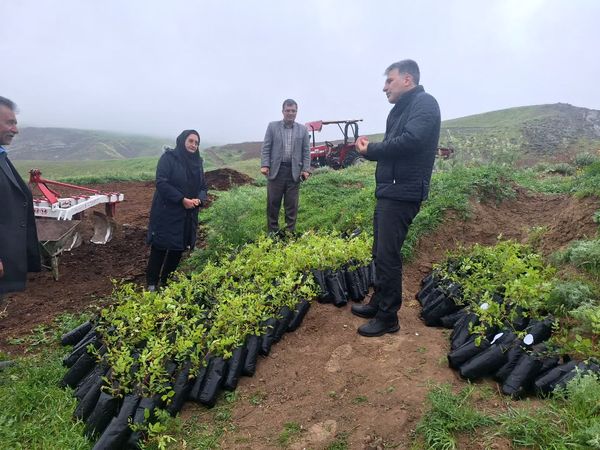 قیمت محصولات کشاورزی