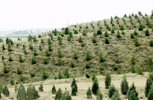 قیمت محصولات کشاورزی