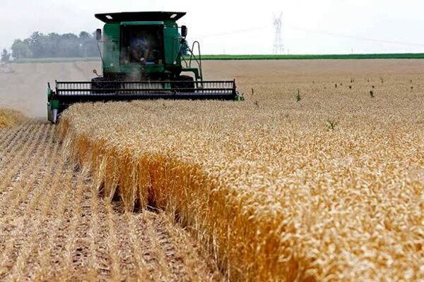 قیمت محصولات کشاورزی