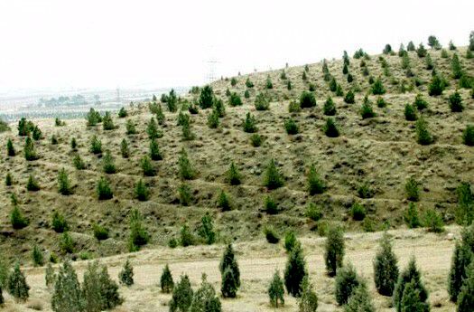 قیمت محصولات کشاورزی