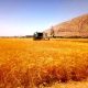 قیمت محصولات کشاورزی