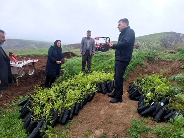 قیمت محصولات کشاورزی