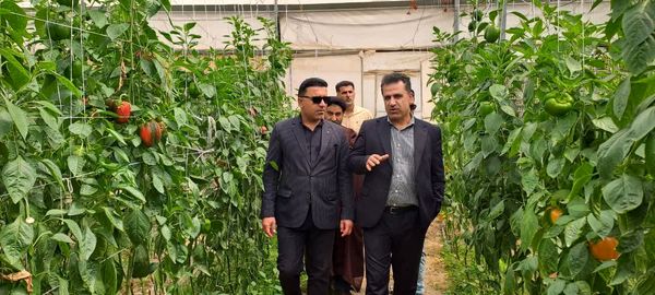 قیمت محصولات کشاورزی