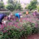 قیمت محصولات کشاورزی