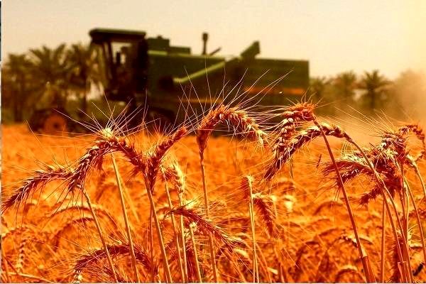 قیمت محصولات کشاورزی