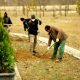 قیمت محصولات کشاورزی