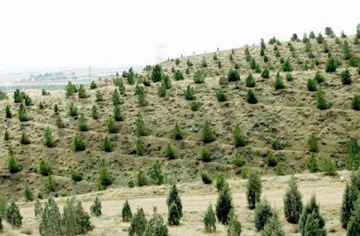 قیمت محصولات کشاورزی