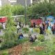 قیمت محصولات کشاورزی
