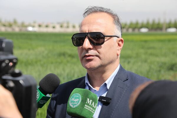 قیمت محصولات کشاورزی