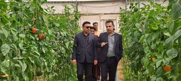 قیمت محصولات کشاورزی
