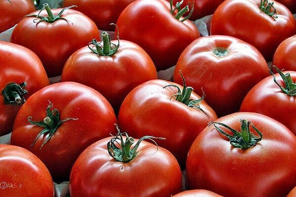 قیمت محصولات کشاورزی