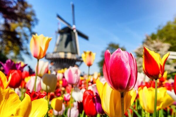 قیمت محصولات کشاورزی