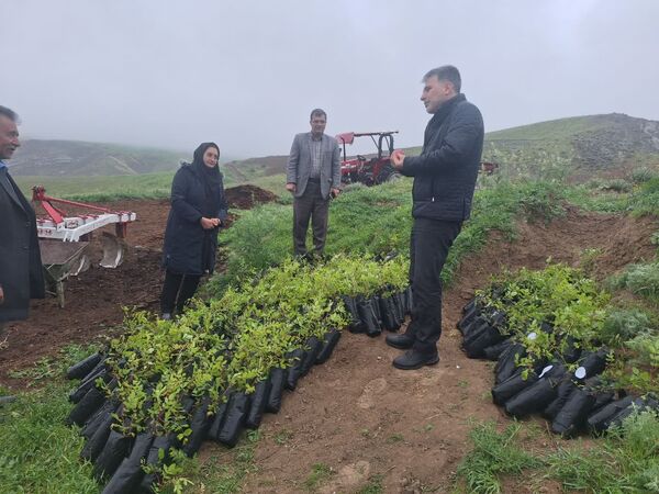 قیمت محصولات کشاورزی