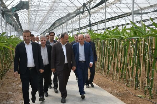 قیمت محصولات کشاورزی