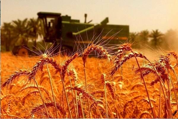 قیمت محصولات کشاورزی